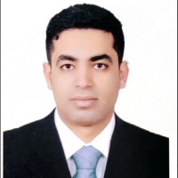 Waleed Elshafeay