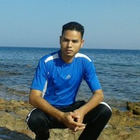 waleed ragab