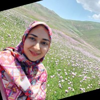 zeinab khani