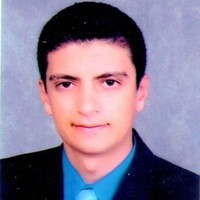 Mohamed Lashin