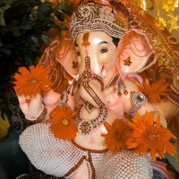Manoj Rana