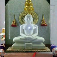 jain amit