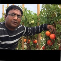 Umesh Kumar Jain