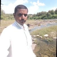 Sudhakar Awchar