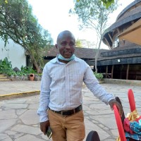 Ben Ayoyi