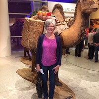 Elaine Sauer