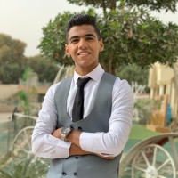 Mohamed Elmeligy