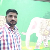 Raman M
