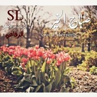 باسم المصري