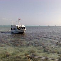 ayman Abbas Mohamed elhaj