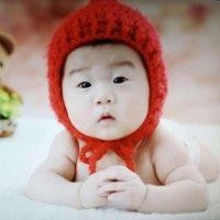 贺小贺
