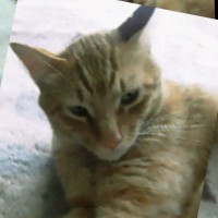 Yuki M.