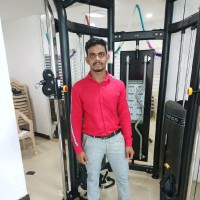 Vignesh P