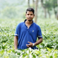 Devajit Bora