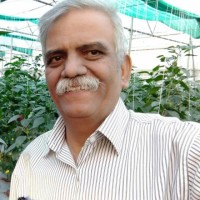 Kishor Bheda