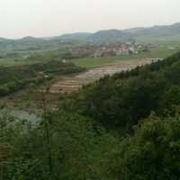 刘国玉
