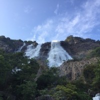 廖日威