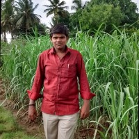 Dineshkumar Selvakumar