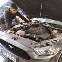 Alperen Işık