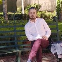 Karim Amari