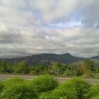 Sarala C