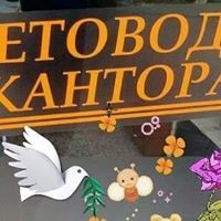 Елена Иванова