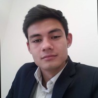 Fabricio Favero Junior