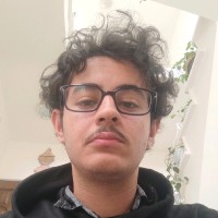 amirhossein mobini