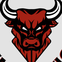 Iron Bull Demolition