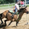 Barrel Racer