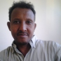 Tesfaye Taddesse