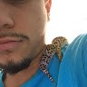 The Reptile Guru