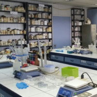 Pedro Farina D'amico