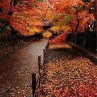 郑建武