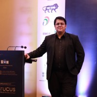 Mridul Kapoor