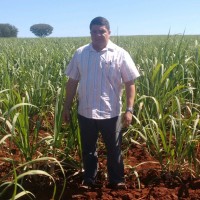 Romilton Rocha