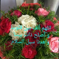 Wafaa Afify