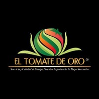 EL TOMATE DE ORO