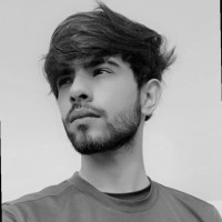 Mayank Trivedi