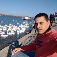 Amr Elzeny