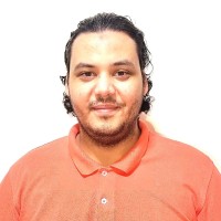 Walid Mostafa Shehata