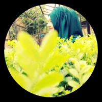 Rida Ejaz