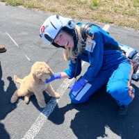 Kristen Shults