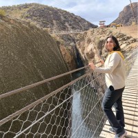 Hamideh Mansouri
