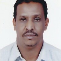 Ahmed Khayri