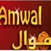 Amwal Systems