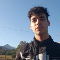 Arthur Bridi Guazzelli