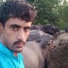 Bilal Hassan