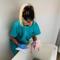 Sara Crespo Vicente