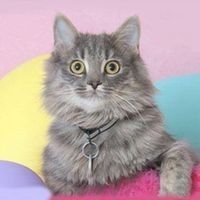 Carlos (Karl) Moncada